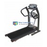 American Motion Fitness 8210